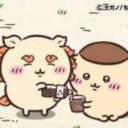 ヒメ日記 2025/08/07 09:45 投稿 ろん アラモード