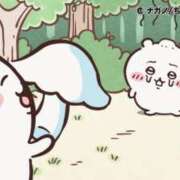 ヒメ日記 2025/08/07 14:25 投稿 ろん アラモード