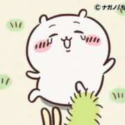 ヒメ日記 2025/08/09 07:29 投稿 ろん アラモード