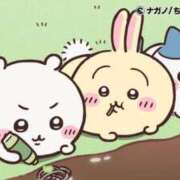 ヒメ日記 2025/08/11 21:22 投稿 ろん アラモード