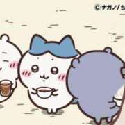 ヒメ日記 2025/08/15 07:54 投稿 ろん アラモード