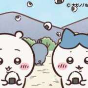 ヒメ日記 2025/08/19 09:06 投稿 ろん アラモード