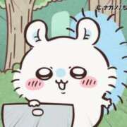 ヒメ日記 2025/08/20 16:33 投稿 ろん アラモード