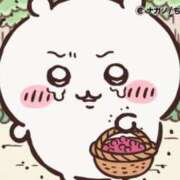 ヒメ日記 2025/08/26 07:25 投稿 ろん アラモード