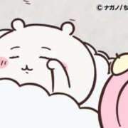 ヒメ日記 2025/10/17 11:21 投稿 ろん アラモード