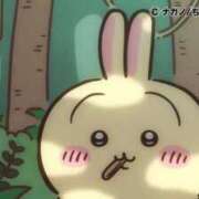 ヒメ日記 2025/10/31 08:42 投稿 ろん アラモード