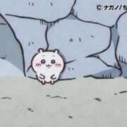 ヒメ日記 2025/12/17 20:02 投稿 ろん アラモード