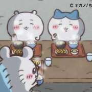 ヒメ日記 2025/12/28 16:13 投稿 ろん アラモード