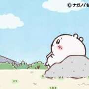 ヒメ日記 2026/01/26 12:23 投稿 ろん アラモード