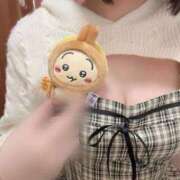 ヒメ日記 2026/02/10 13:23 投稿 ろん アラモード