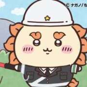 ヒメ日記 2026/02/11 12:35 投稿 ろん アラモード