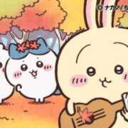 ヒメ日記 2026/02/11 14:22 投稿 ろん アラモード