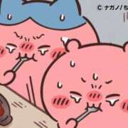 ヒメ日記 2026/02/14 11:08 投稿 ろん アラモード