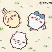 ヒメ日記 2026/02/20 14:26 投稿 ろん アラモード