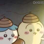 ヒメ日記 2026/03/05 09:29 投稿 ろん アラモード