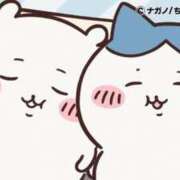 ヒメ日記 2026/03/08 09:45 投稿 ろん アラモード