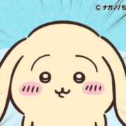 ヒメ日記 2026/03/13 10:19 投稿 ろん アラモード