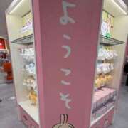 ヒメ日記 2026/03/18 11:35 投稿 ろん アラモード