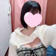 ヒメ日記 2026/03/18 17:09 投稿 ろん アラモード