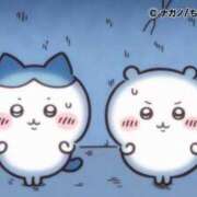 ろん 🙏🏻🤍✨ アラモード