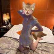 ヒメ日記 2025/08/13 10:21 投稿 かりん 三重四日市ちゃんこ