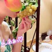 かりん こんにちは 三重四日市ちゃんこ