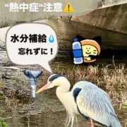 かりん こんにちは 三重四日市ちゃんこ