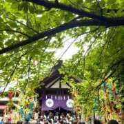 なる 七夕ですね🎋✨ CECIL