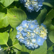 ヒメ日記 2025/06/04 18:10 投稿 らむ ハピネス東京