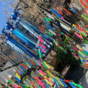 ヒメ日記 2025/07/03 16:57 投稿 らむ ハピネス東京