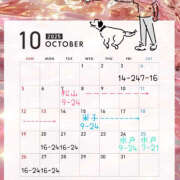 ヒメ日記 2025/10/07 13:00 投稿 らむ ハピネス東京