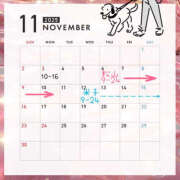 ヒメ日記 2025/10/21 21:17 投稿 らむ ハピネス東京