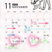 ヒメ日記 2025/11/22 19:40 投稿 らむ ハピネス東京