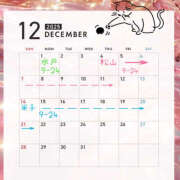 ヒメ日記 2025/11/23 21:52 投稿 らむ ハピネス東京