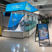 ヒメ日記 2025/12/03 23:47 投稿 らむ ハピネス東京