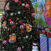 ヒメ日記 2025/12/12 16:27 投稿 らむ ハピネス東京