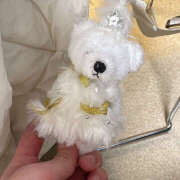 ヒメ日記 2025/12/19 13:11 投稿 らむ ハピネス東京