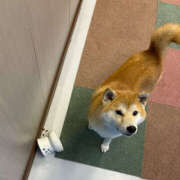 ヒメ日記 2025/12/19 16:27 投稿 らむ ハピネス東京