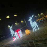 ヒメ日記 2025/12/25 19:21 投稿 らむ ハピネス東京