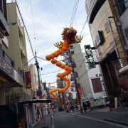 ヒメ日記 2026/01/16 14:21 投稿 らむ ハピネス東京