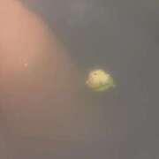 ヒメ日記 2026/01/20 17:20 投稿 らむ ハピネス東京