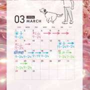 ヒメ日記 2026/02/13 23:17 投稿 らむ ハピネス東京