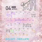 ヒメ日記 2026/04/01 12:27 投稿 らむ ハピネス東京