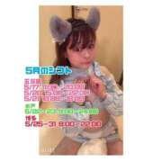 ヒメ日記 2026/05/12 21:37 投稿 らむ ハピネス東京