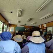 ヒメ日記 2025/07/23 08:40 投稿 まりあ 奥様の実話 梅田店