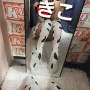 ヒメ日記 2025/10/25 12:35 投稿 きこ カルテDayShift（新宿）