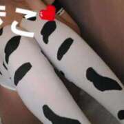 ヒメ日記 2026/02/03 09:56 投稿 きこ カルテデイズ新宿