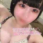 ヒメ日記 2025/05/02 07:49 投稿 とわ 新宿プチドール