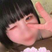 ヒメ日記 2025/05/27 08:19 投稿 とわ 新宿プチドール