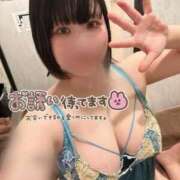 とわ おひさしぶりです🍊⸝⋆ 新宿プチドール